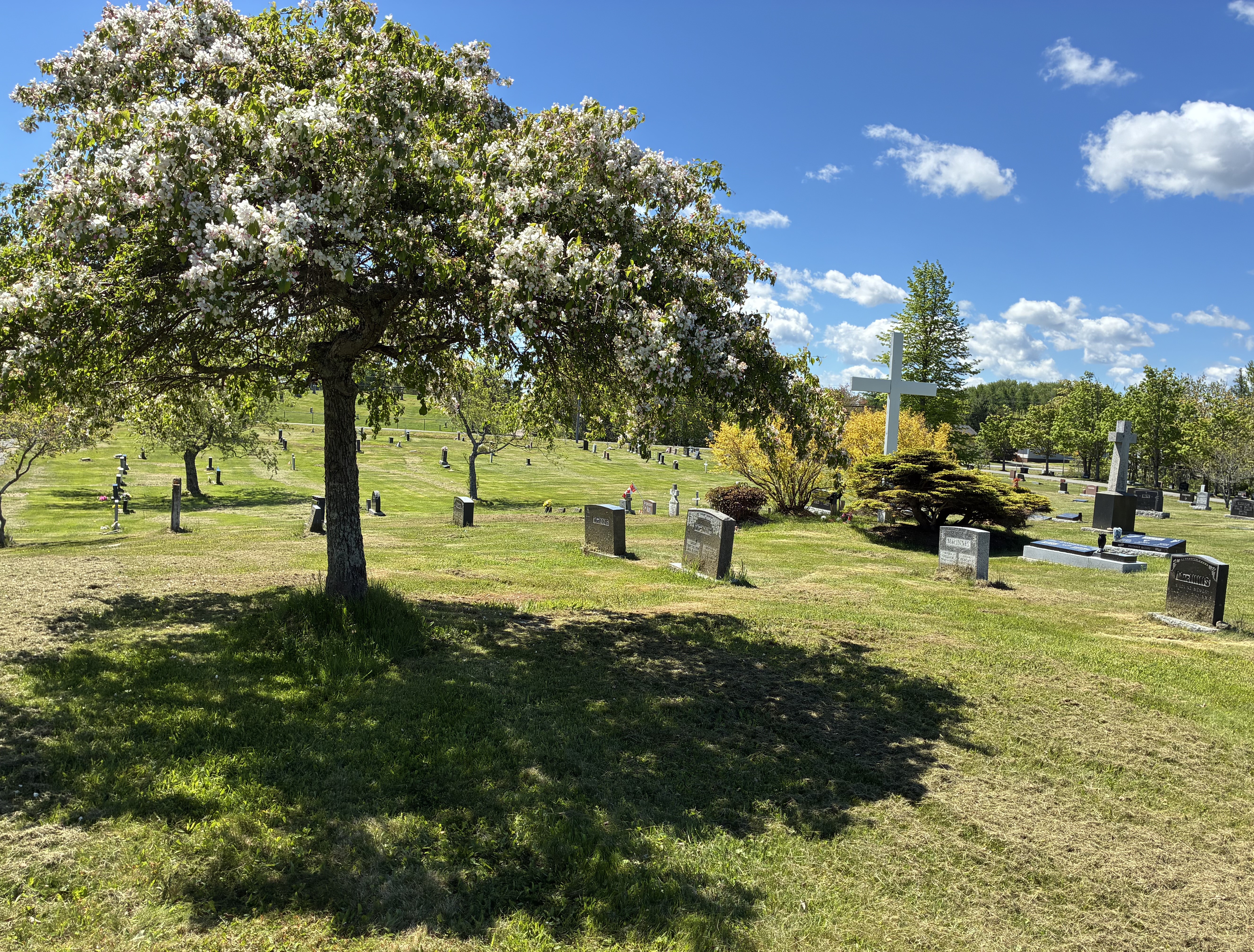 St. Joseph's Cemetery